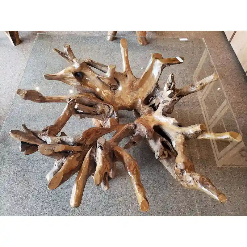 Table basse en racine de teck avec plateau en verre carré de 140 cm